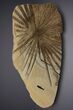 Fossil Palm and Fish Mural - Green River Formation, Wyoming #299796-1